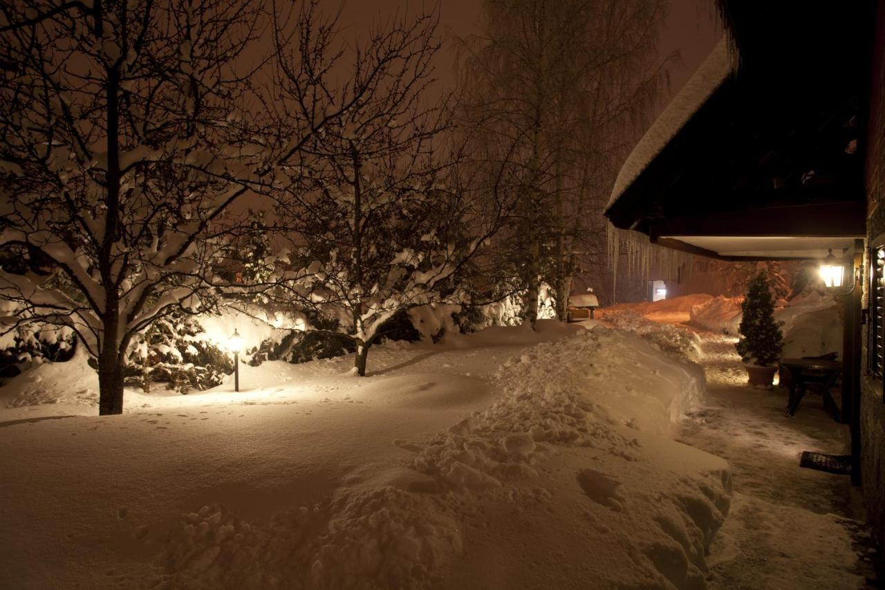 Villa Duric Superior Zlatibor Bagian luar foto